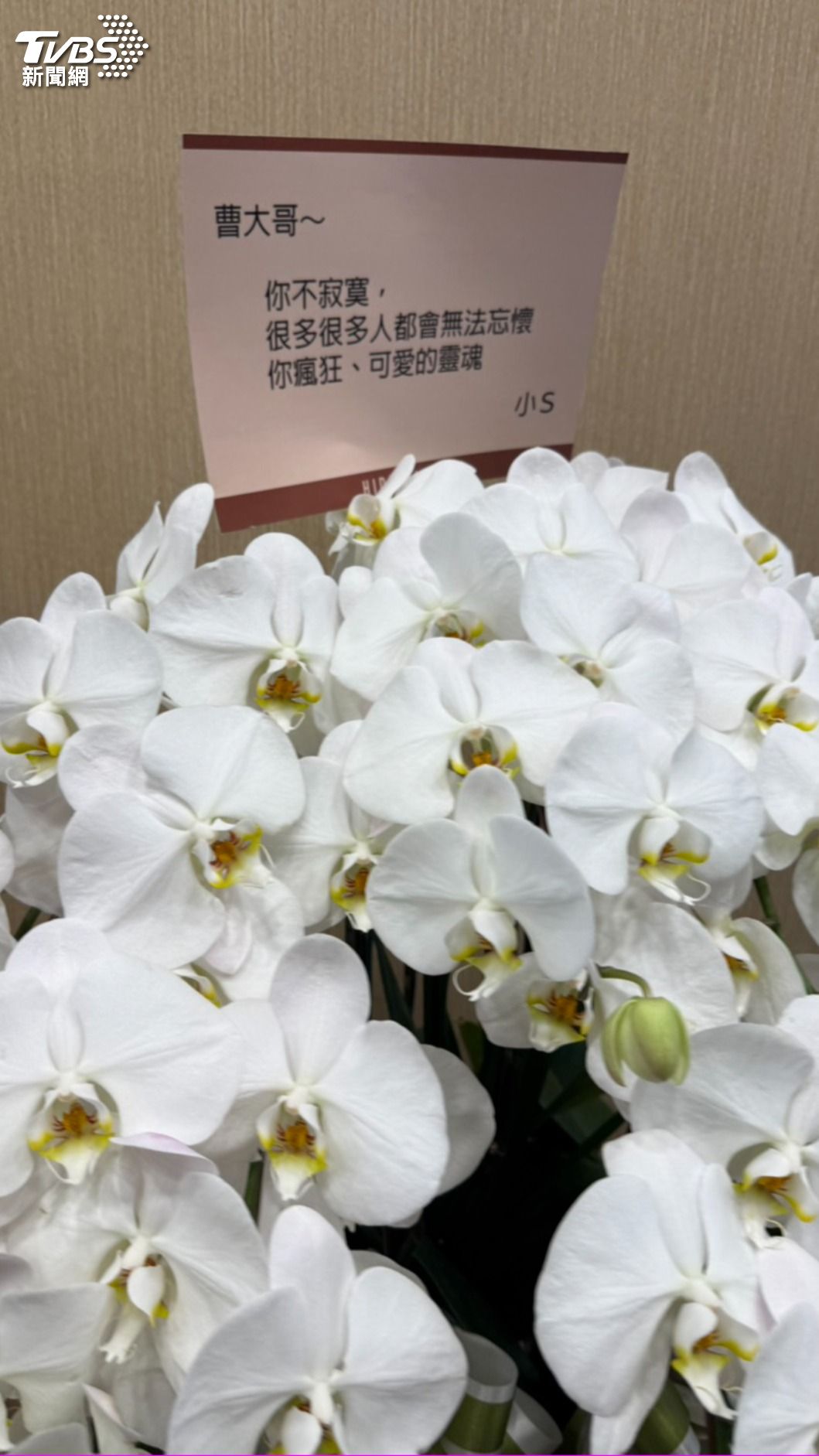 小S送上花籃。(圖/林彥君攝)