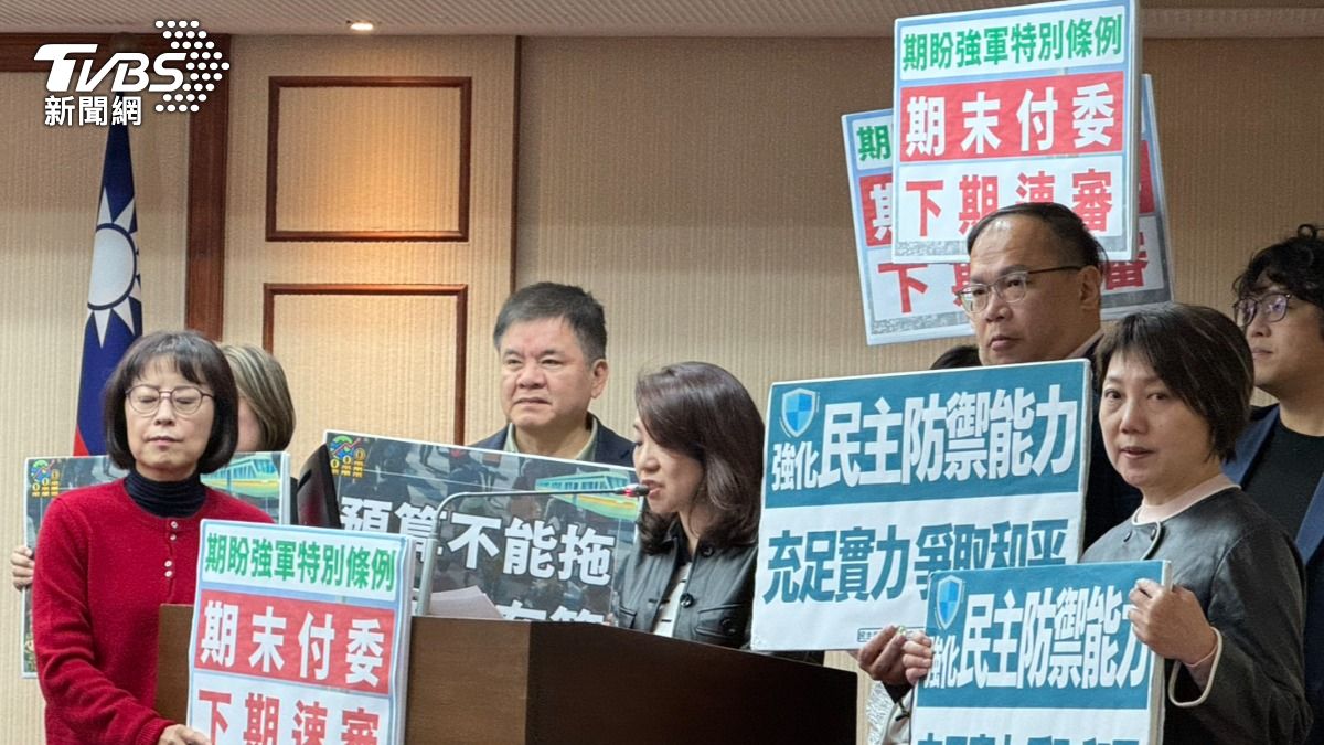 羅美玲在程序委員會發言。(圖/陳怡潔攝)