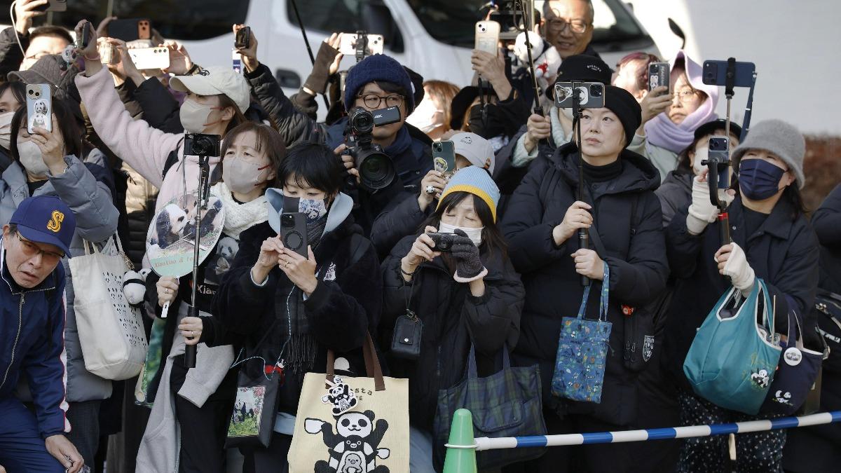 貓熊曉曉、蕾蕾今晚離日! 日本人夾道歡送淚別「很寂寞!」