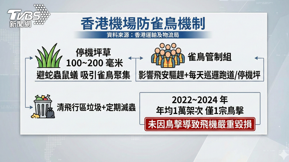 各機場都有防鳥措施,包含香港機場也有。(圖/AI製圖)