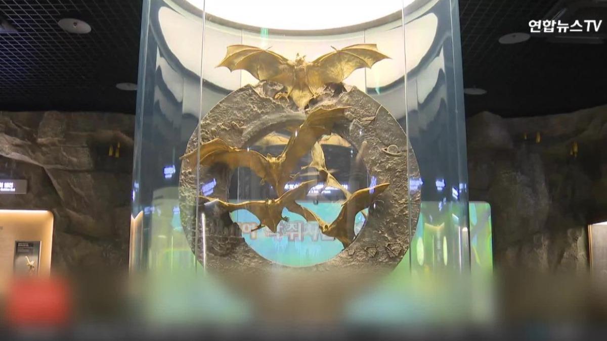 曾挨批浪費預算！韓黃金蝙蝠雕像身價飆漲　材料費達84億