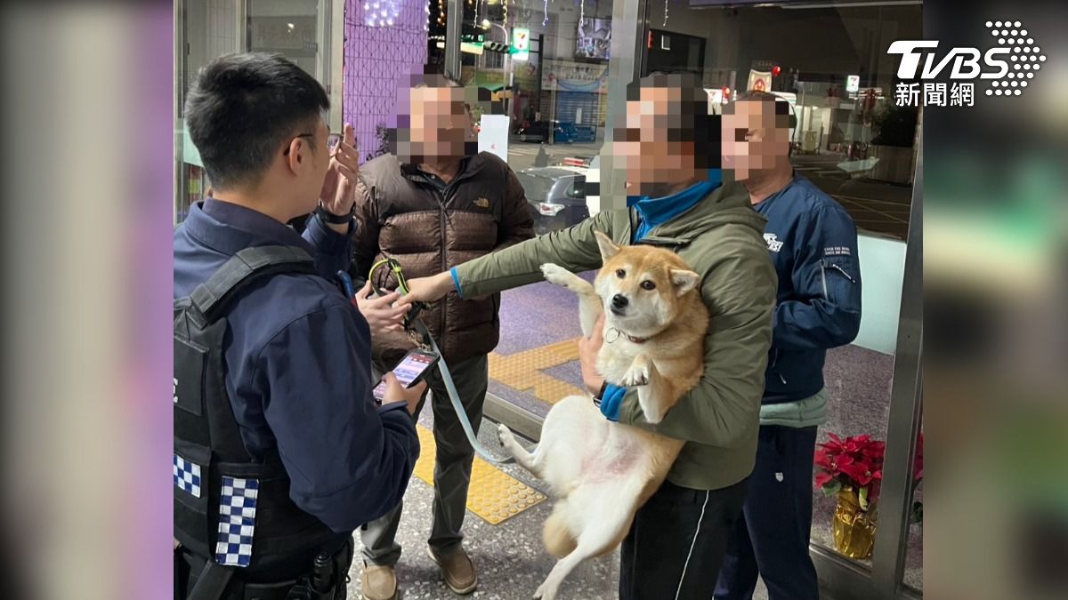 雙方在派出所「面交」，米娜被飼主領回後，一臉無辜樣。（圖／TVBS）