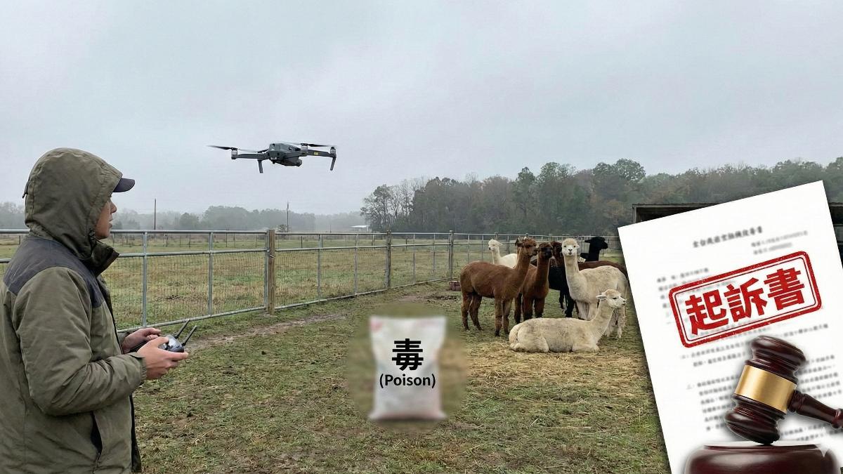 宜蘭農場-動物毒殺-宜蘭農場投毒-宜蘭農場空拍機-宜蘭農場羊駝-星夢森林劇場