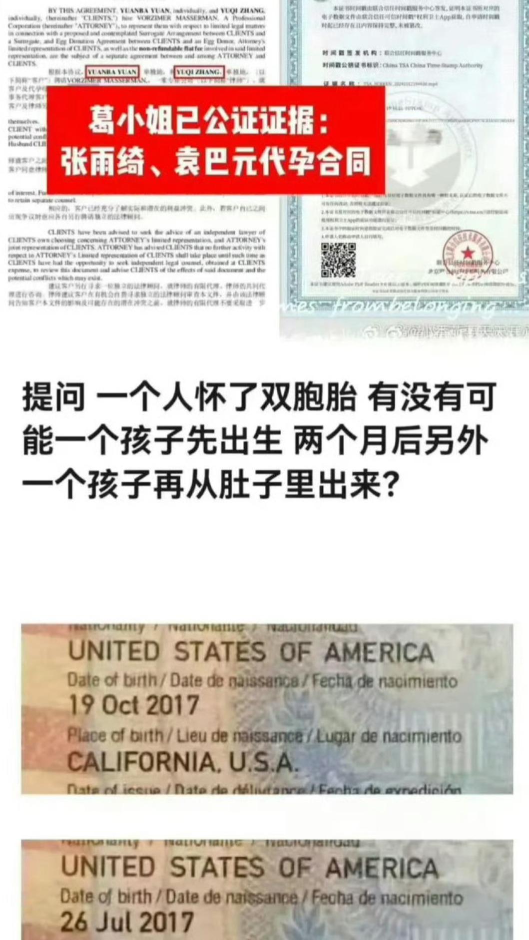 葛曉倩舉報張雨綺代孕。(圖/翻攝自微博)