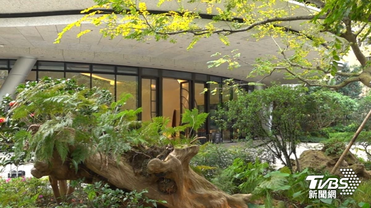戶外生態庭園。(圖/TVBS)