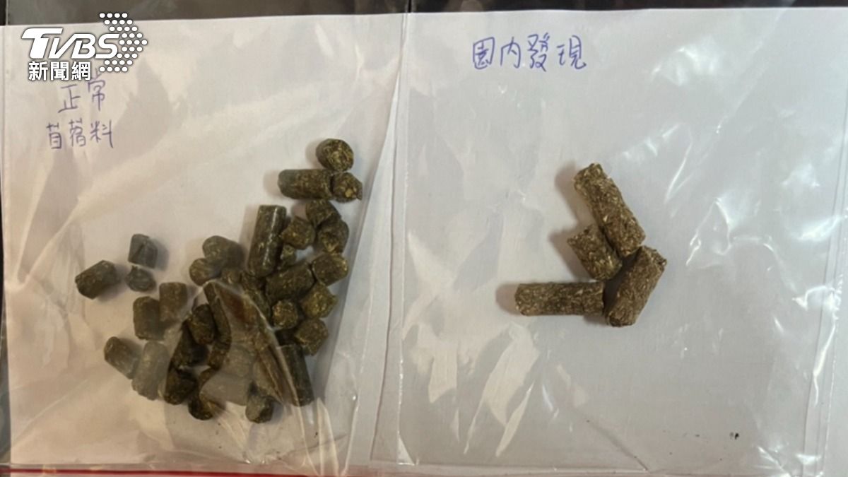 園區內發現遭投毒飼料。（圖／TVBS）