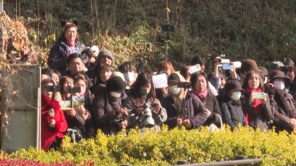 大批日本粉絲紛紛送別大貓熊「曉曉」和「蕾蕾」。(圖/央視)