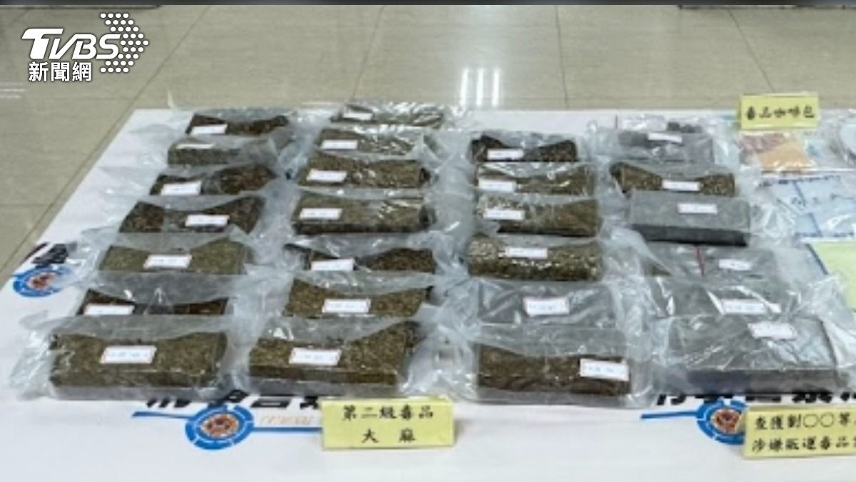 竹聯幫利用外籍女子及移工假扮遊客走私大麻。(圖/TVBS)