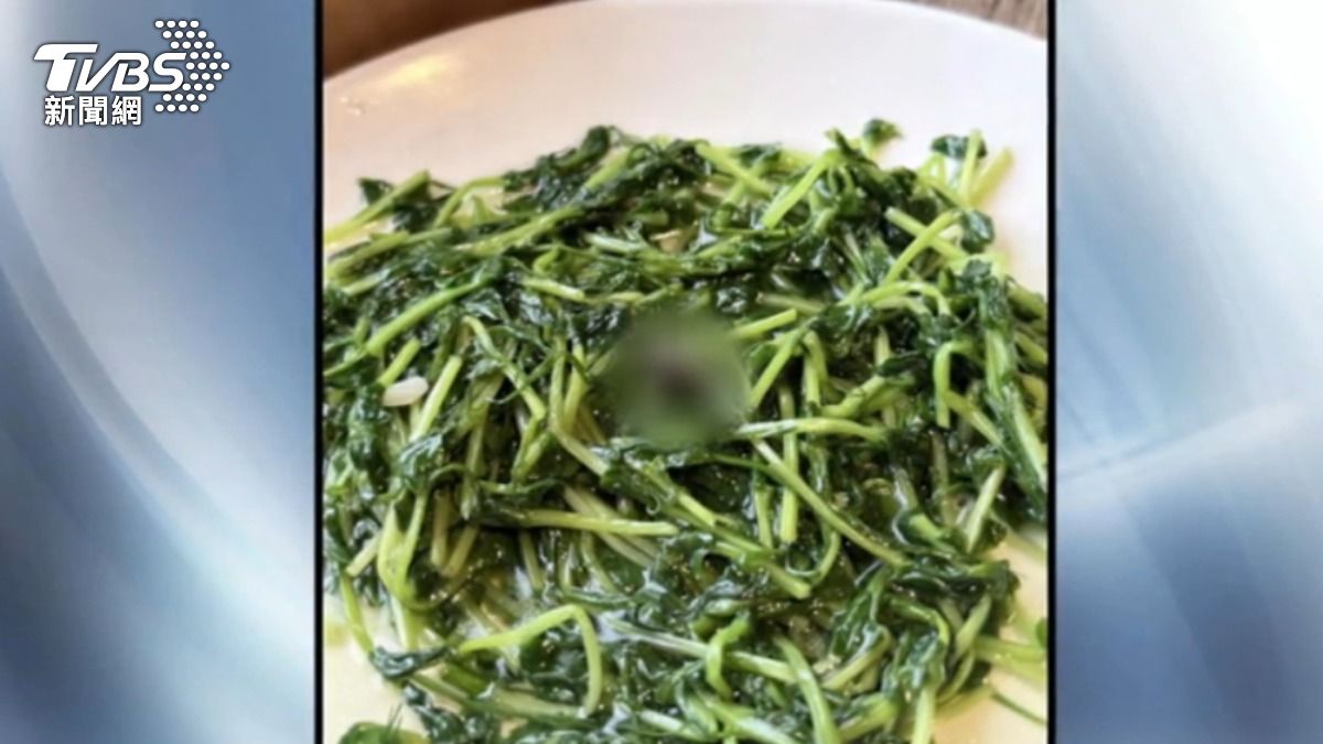 知名港式飲茶餐廳青菜出現蟑螂。（圖／翻攝Threads@goose.8247303）