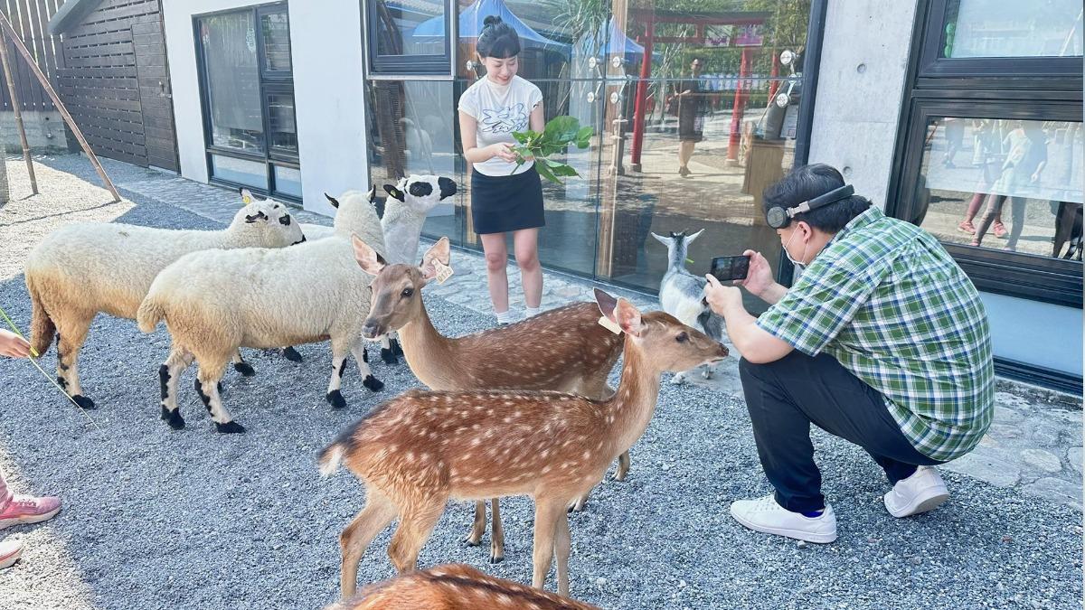 空拍機投毒案害死動物 「張美阿嬤農場」少東鬧分家搶客遭起底