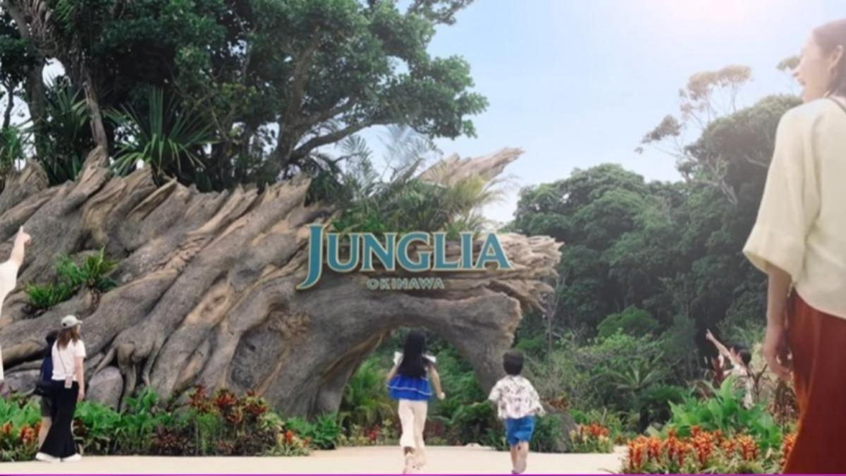 半年吸客65萬! 沖繩Junglia推「極限墜落」拚翻轉業績