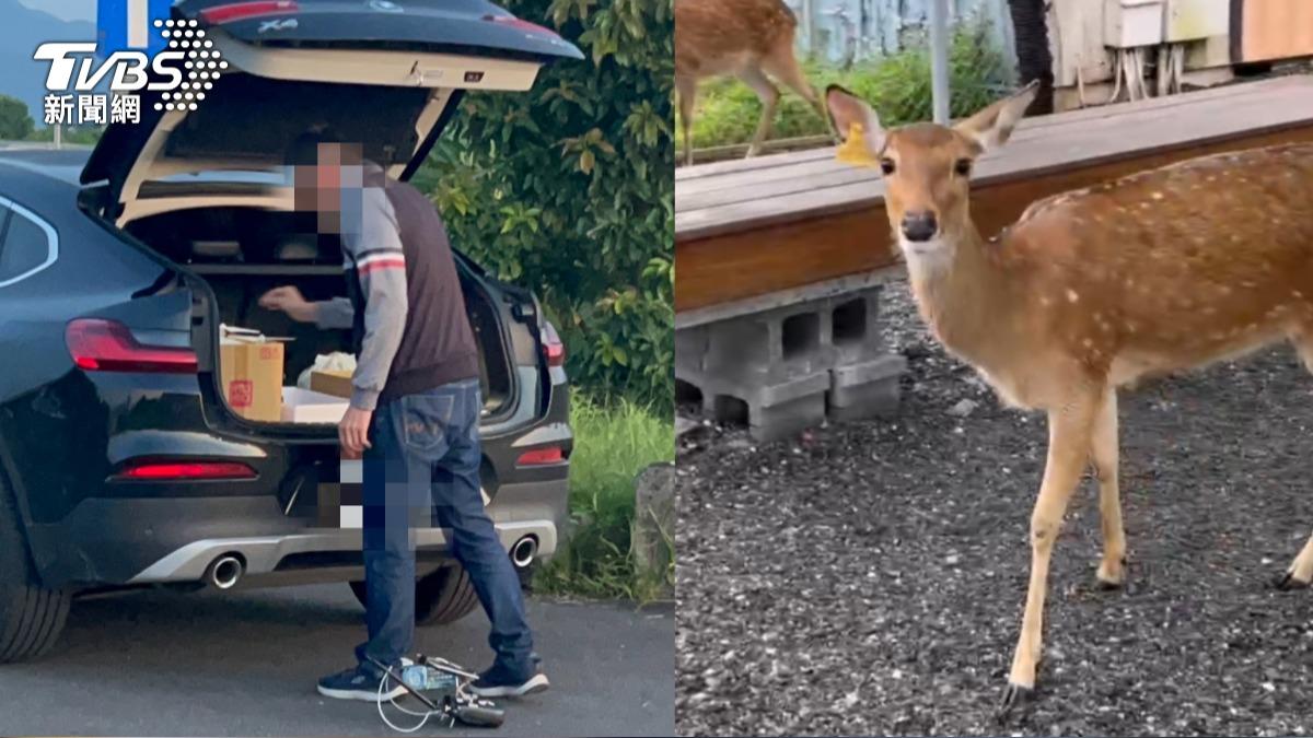 張美阿嬤兒殘害動物!Google地圖被改「王老先生投毒休閒農場」灌負評