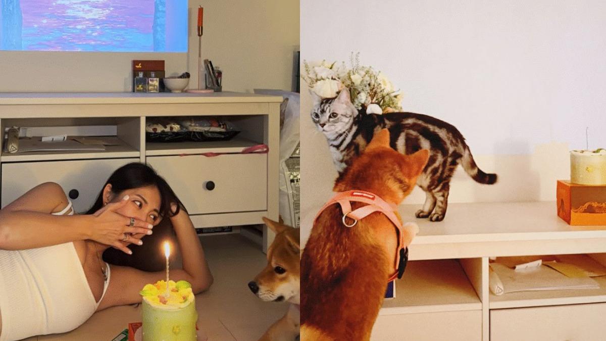 阿喜提到,家人與家中犬貓都平安無事,這才是最大的幸福。(圖/翻攝自Instagram/joyshishi777)