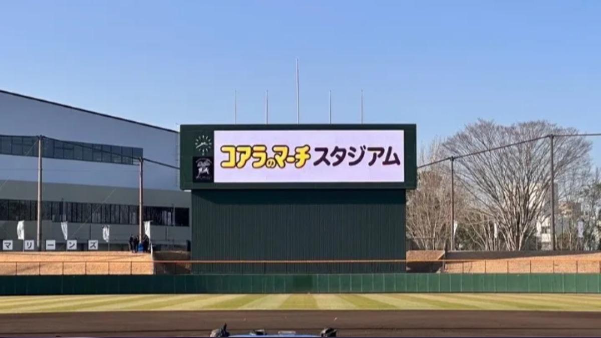 超軟萌! 千葉羅德換新春訓基地 球場改名「小熊餅乾」、「派之實」