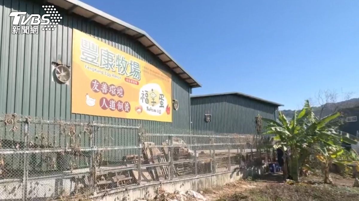 台中豐康牧場禽流感隱匿半月！病死雞亂丟苗栗　7000台斤蛋流入市面。(圖／TVBS)