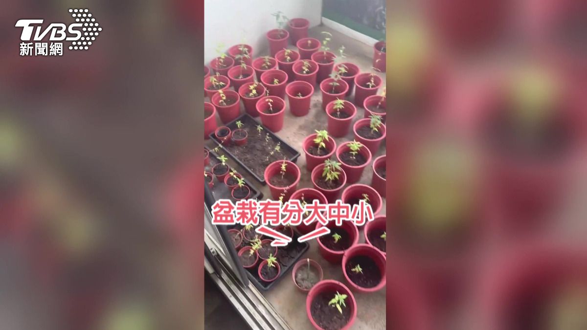 張男因涉嫌販賣毒品遭逮捕移送。案件歷經3年多審理,期間張男不斷提起上訴。(圖/警方提供)