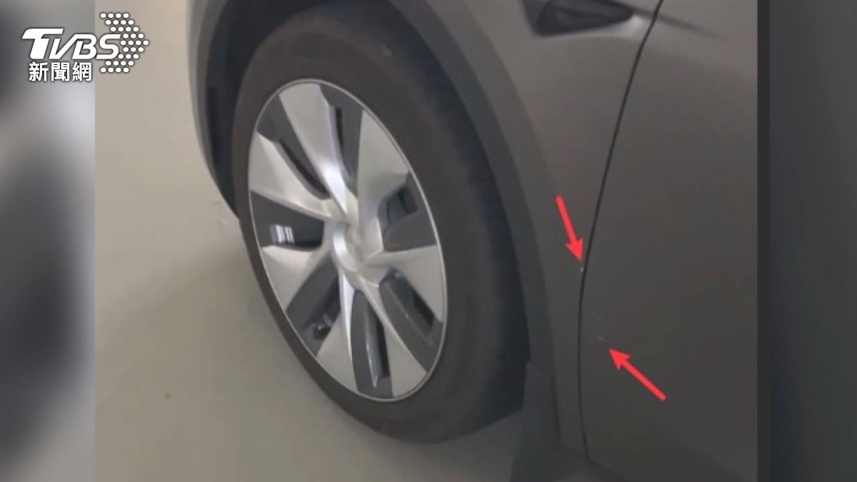特斯拉車主蔡先生牽車時發現車子被刮傷,回頭查看畫面才發現竟是柴犬撞車肇逃。(圖/民眾提供)