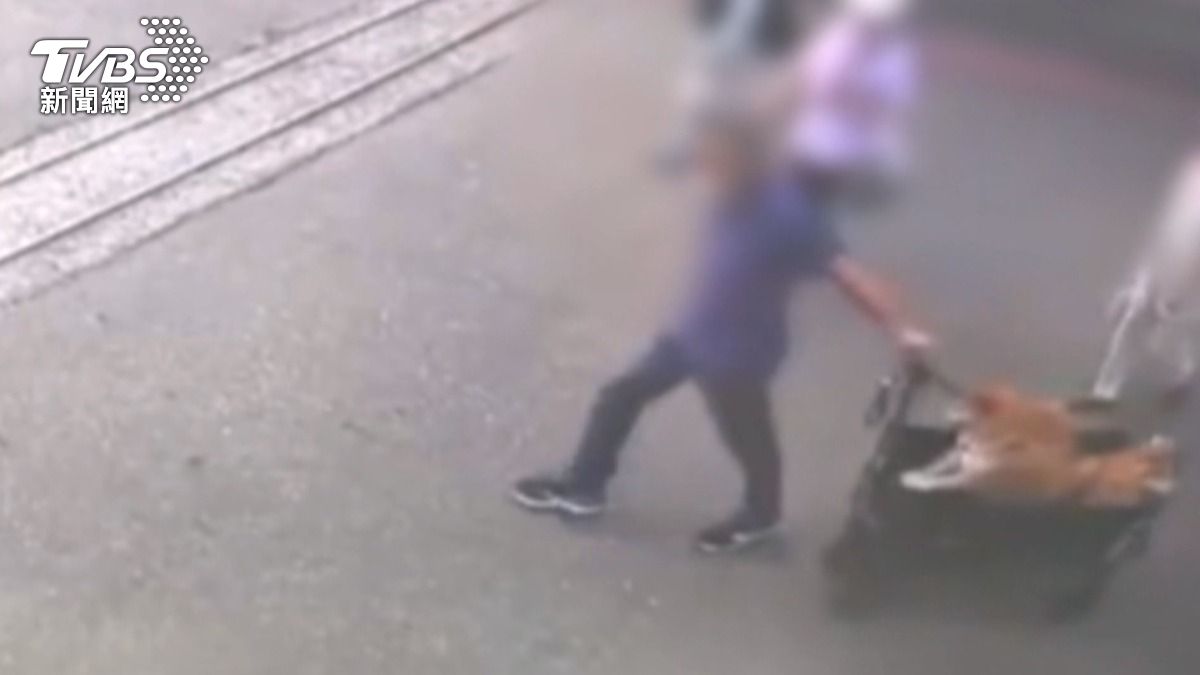 最近這輛電動車還面臨法拍,車身刮傷影響了估價,因此他希望柴犬飼主能負擔財損。(圖/民眾提供)