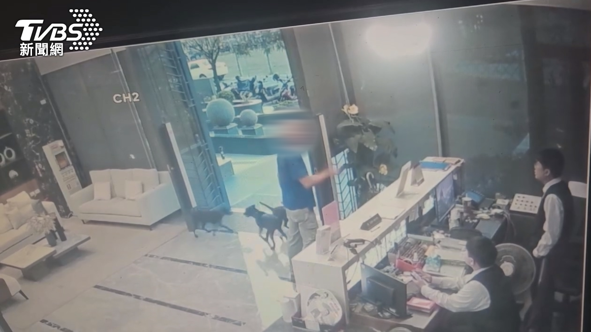 當地居民向飼主反映狀況，對方竟跑到大樓管理室怒斥。（圖／TVBS）
