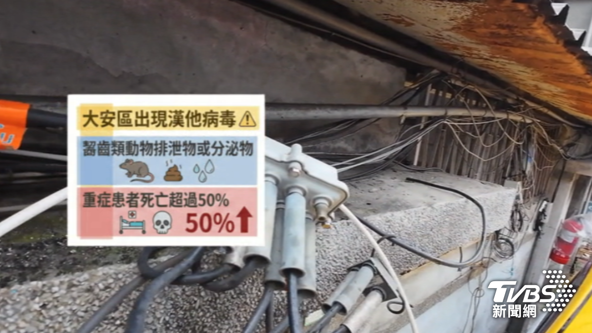 台北市大安區仁愛路出現漢他病毒首例。(圖/TVBS)