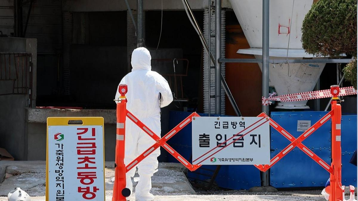 南韓口蹄疫時隔9個月再爆發　仁川農場急封鎖、升最高警戒
