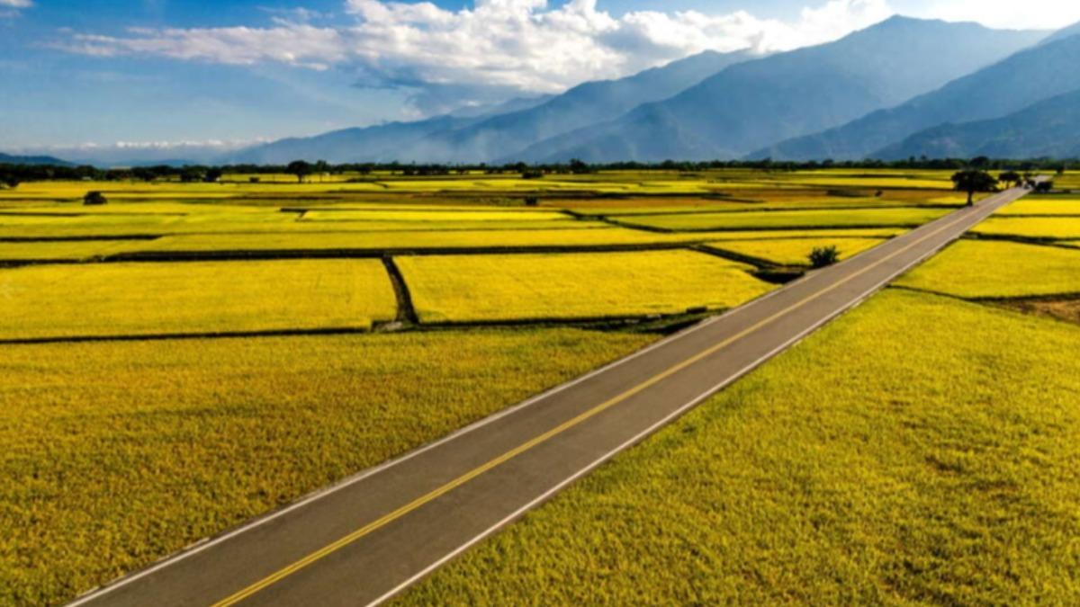 伯朗大道。(圖/翻攝自台東觀光旅遊網)
