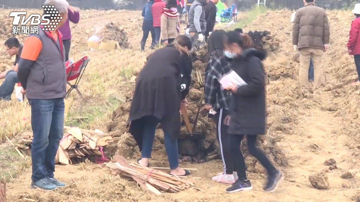 苗栗田間驚見「墓仔埔」?在地人揭真相。(圖/TVBS)