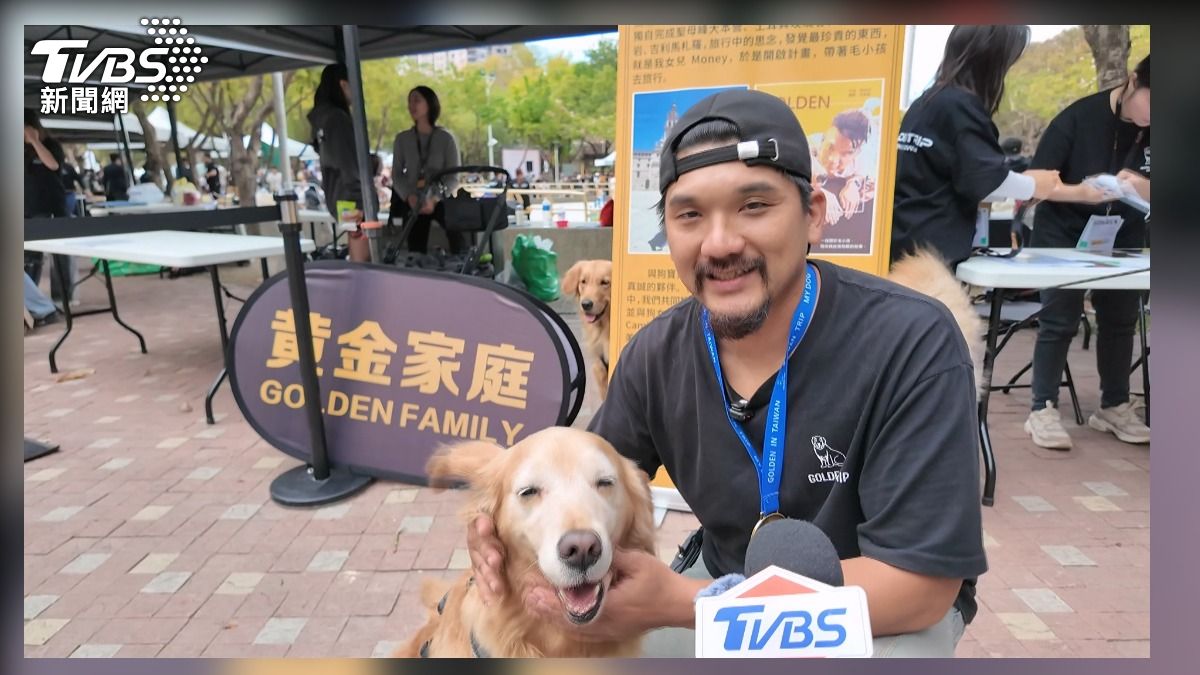 世界黃金獵犬日萌翻台中 主理人揪團350隻齊聚公園