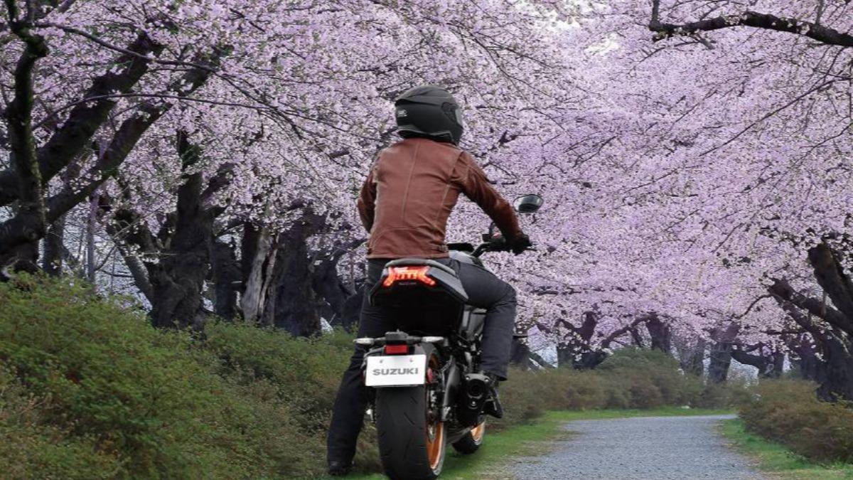 Katana GSX-S1000S空車重量215公斤,搭配鋁合金雙翼樑車架、KYB倒立式前叉與多連桿中置單槍後避震設定。(圖/Suzuki)