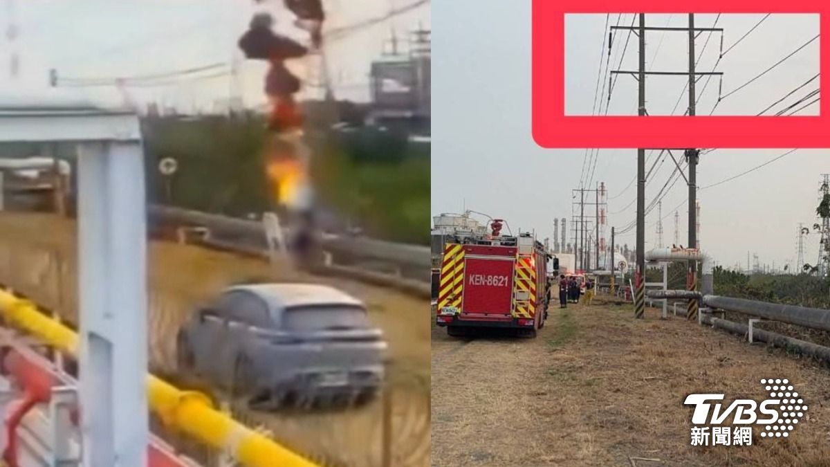 高雄男「抓綠鬣蜥」獎金還沒入袋先觸電燒成火球 害4企業停電5小時