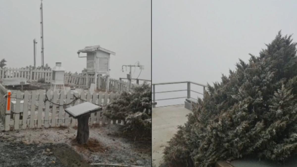 玉山降雪現況曝光!17:20起「雪花紛飛」 明高山仍有機率
