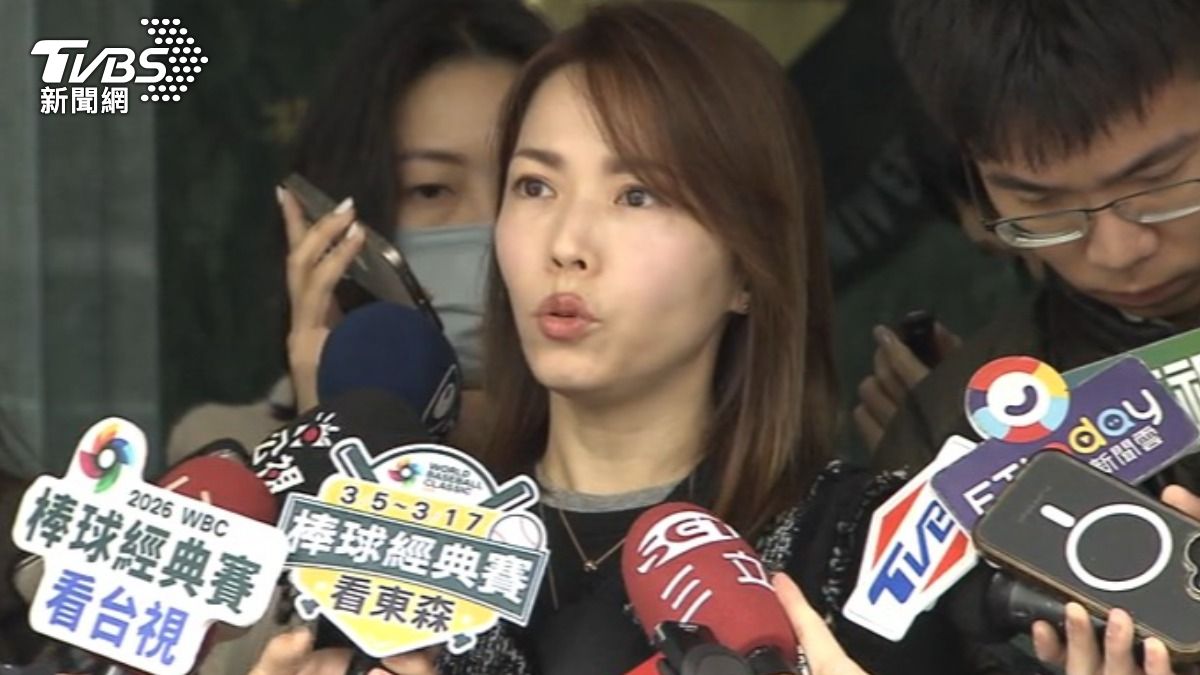 陳智菡強調李貞秀已申請放棄,但在兩岸架構下無法完成。(圖/TVBS)