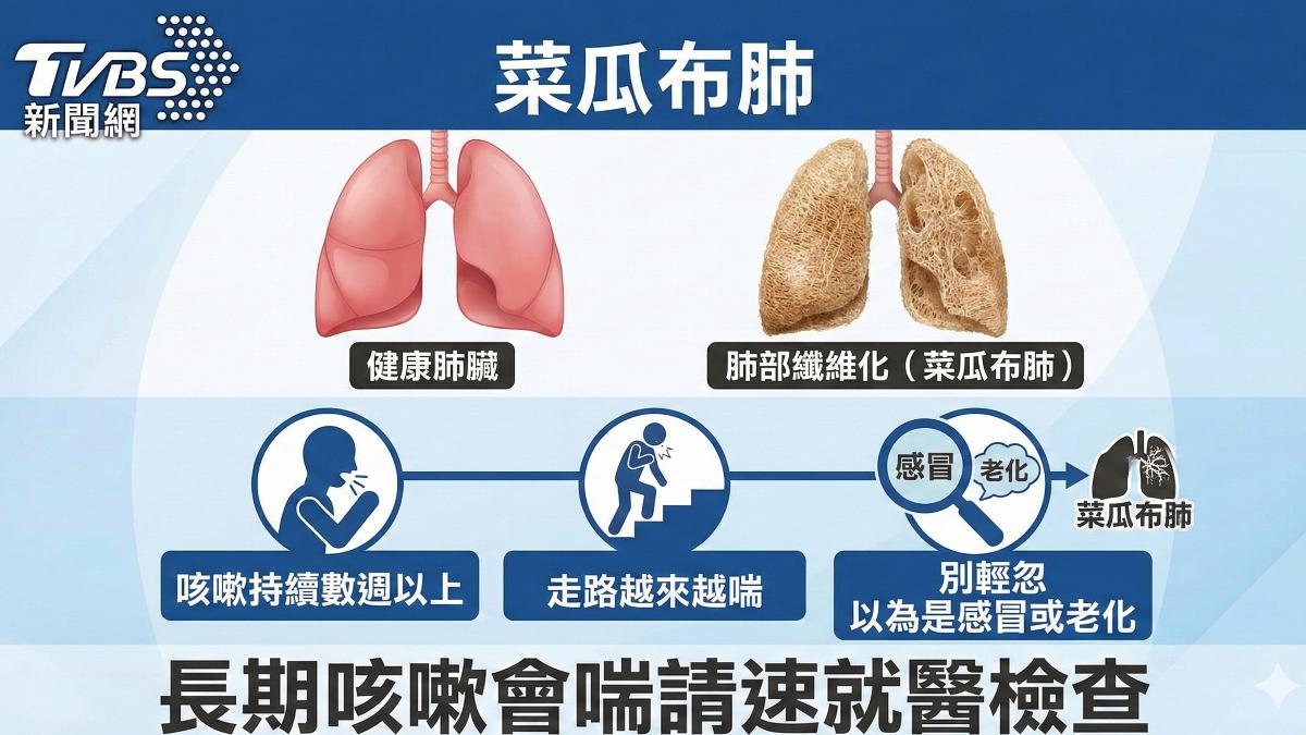 長期咳嗽＋運動就喘　勿輕忽！恐罹「菜瓜布肺」致死風險高！ (圖／ＴＶＢＳ)