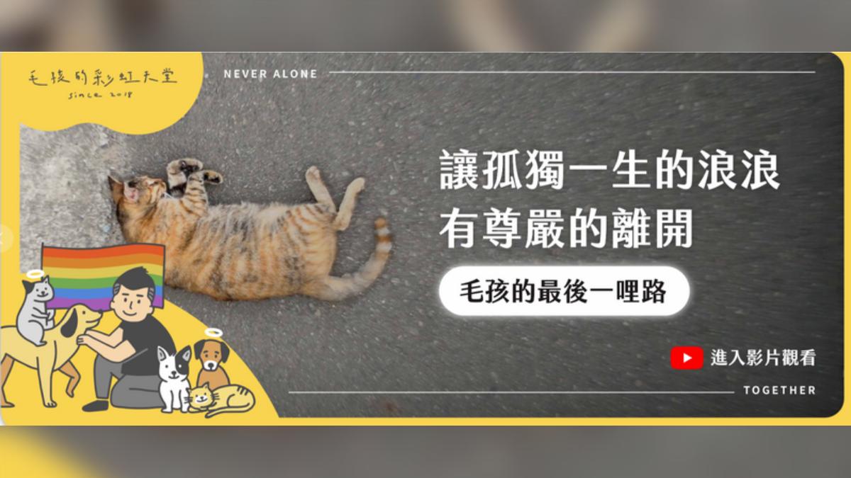 毛孩的彩虹天堂私吞531萬起訴 負責人林意盛「陳屍台中」