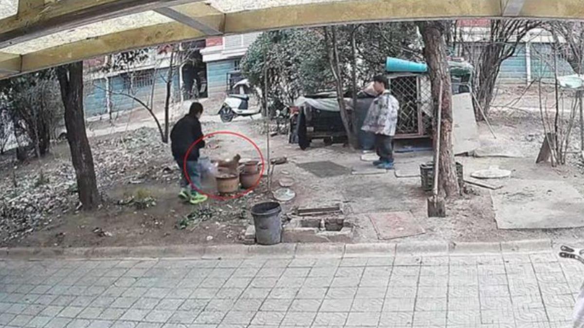 男孩把煙火丟入狗籠後，還拿點燃的煙火追趕一旁的母雞。（圖／翻攝網易）