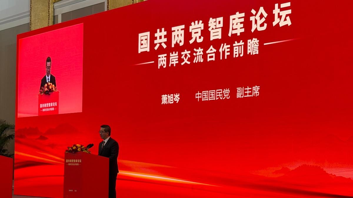 國民黨副主席蕭旭岑。（圖／國民黨提供）