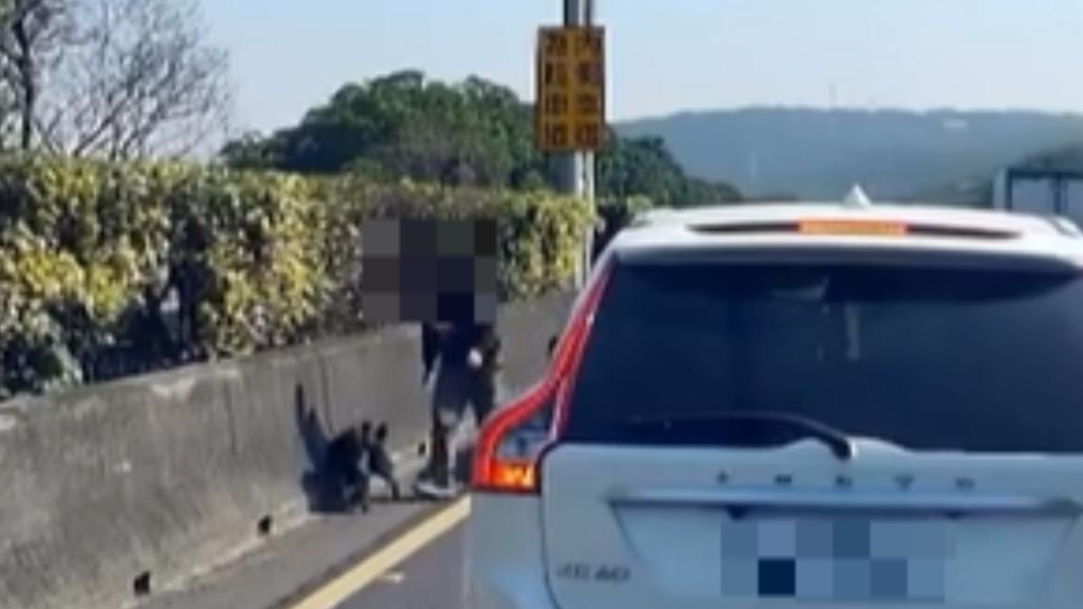 駕駛下車疑為救受傷狗,車停國道路中央。(圖threads/gto3067878)