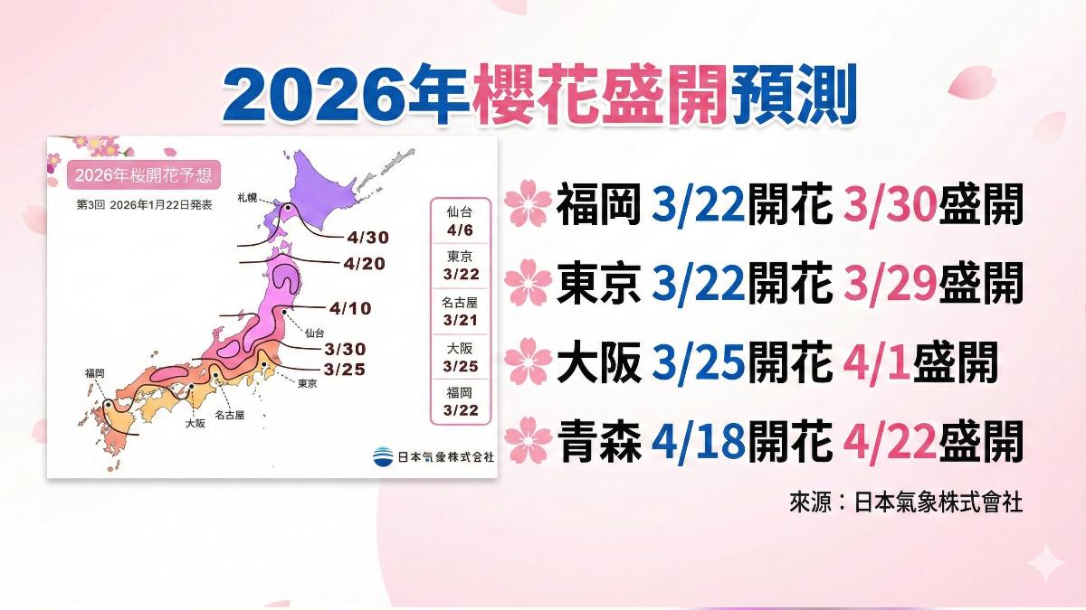 日本櫻花預測更新，３月中旬福岡、東京以及大阪陸續會有櫻花盛開。(圖/AI製圖)