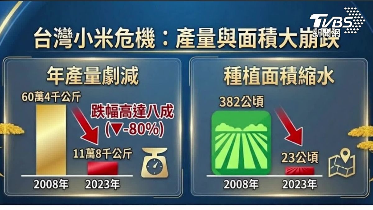 小米產量減。(圖/TVBS)