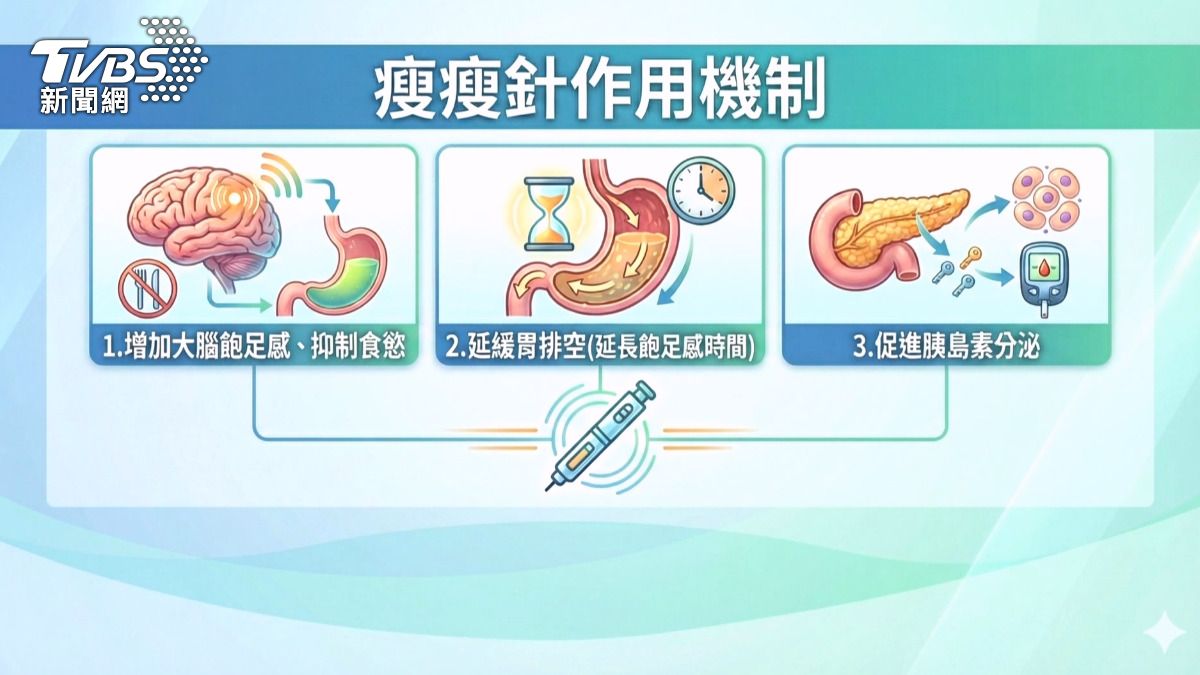 瘦瘦針的作用機制包含抑制食慾、延緩胃排空、促進胰島素分泌。(圖／TVBS)