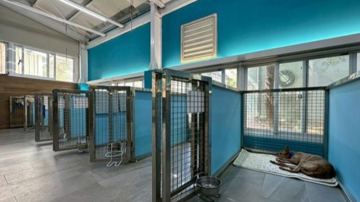 新北推動動保五安治理模式 打造動物友善城市