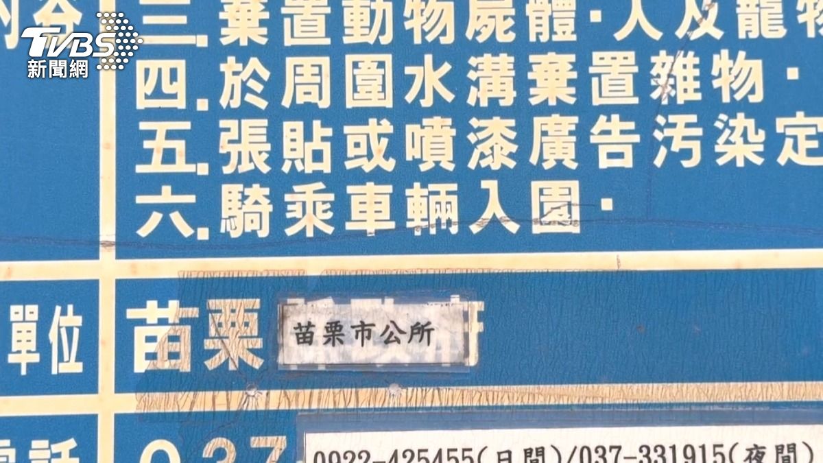 公園翹翹板遭電動車輾壓 少年慘了。(圖/TVBS)