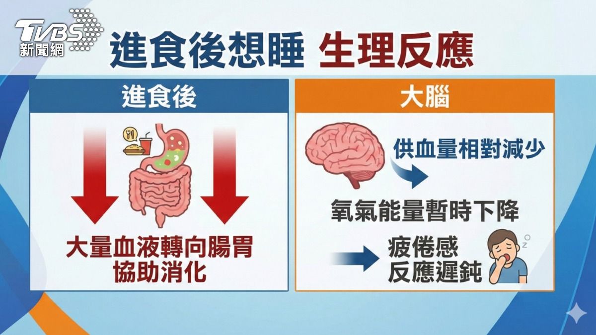 餐後嗜睡常發作要注意!醫師:注意這「五大原因」 恐引發「這疾病」... (圖/TVBS)
