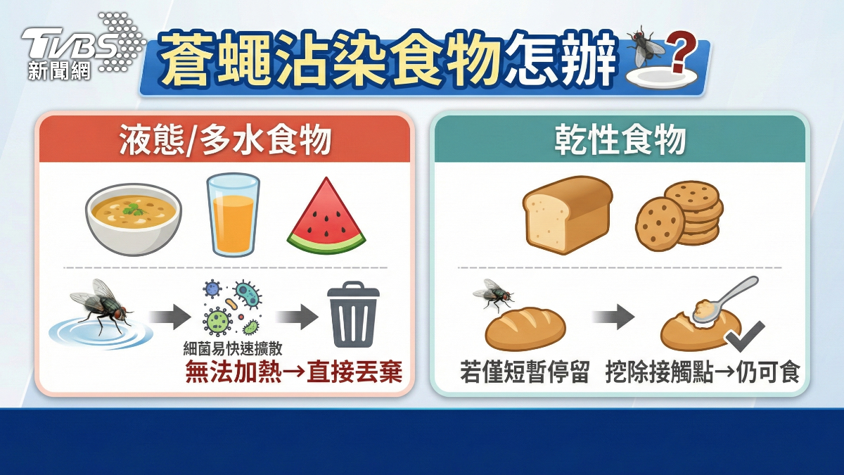 蒼蠅沾染食物。(圖/TVBS)