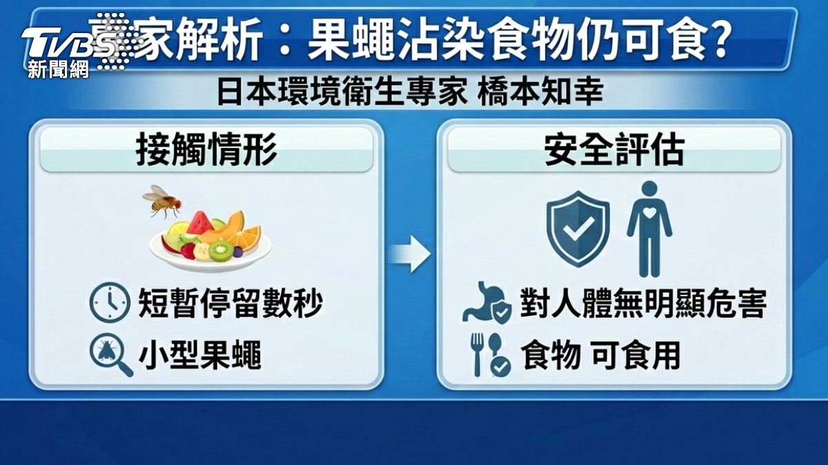 果蠅沾染食物還可以吃?(圖/TVBS)