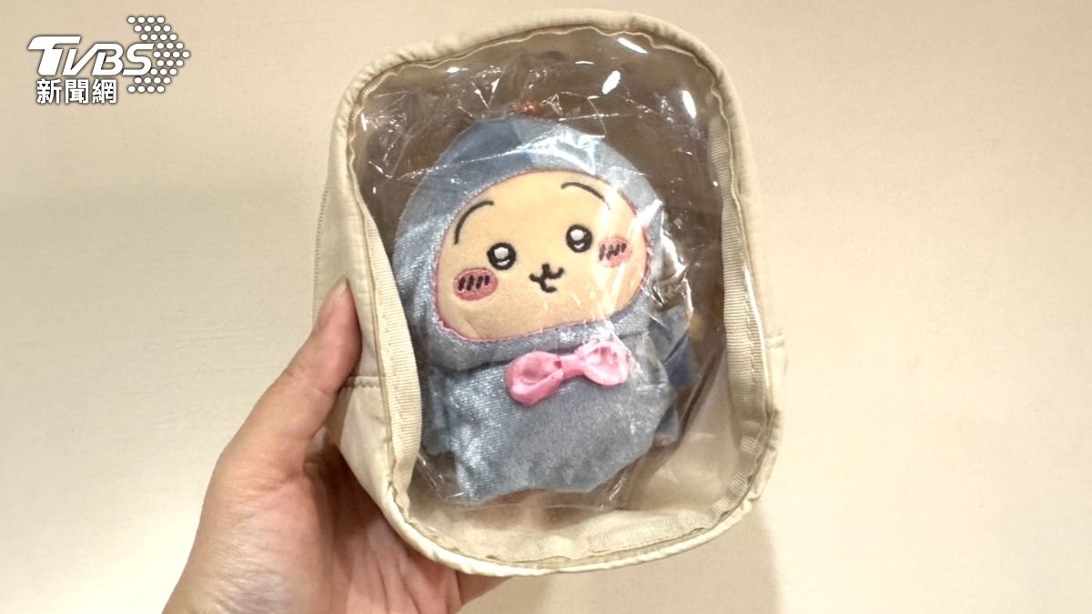 撿路邊「吉伊卡哇」拋售 台南婦慘賠8倍和解金還被送辦