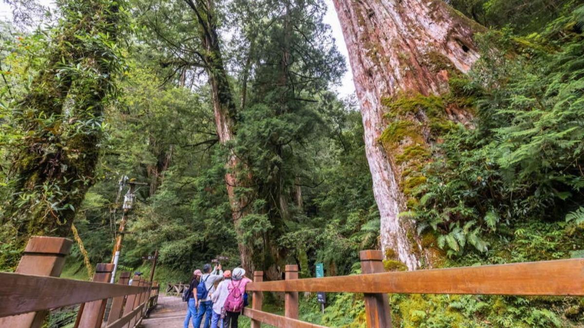 拉拉山 。(圖/翻攝自桃園市觀光導覽網)