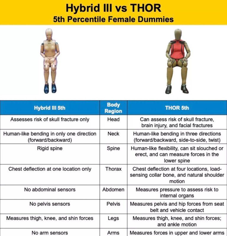 THOR-05F不是縮小版的男假人,而是從頭到腳都以「女性身體」為藍本。(圖/NHTSA提供)