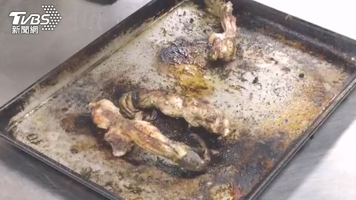 佛州寒流凍僵綠鬣蜥成食材!餐廳推「大沼澤地比薩」口感像雞肉。(圖/TVBS)