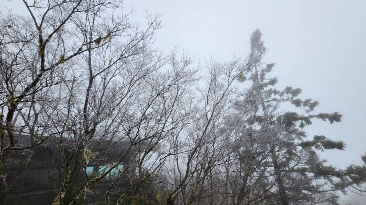 太平山0度低溫「冰霰霧淞齊現」。(圖/太平山遊樂區)